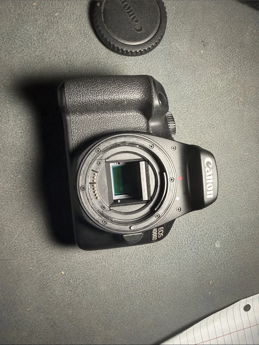 Canon DSLR Camera Body in Black